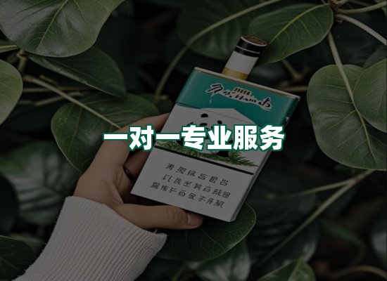 核心优势